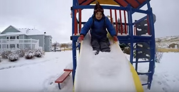 雪に埋もれていた凍死寸前の白い猫。ある家族一丸となって命を救った