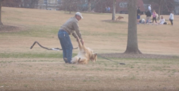 「いやだ～！帰りたくないよ～」公園で駄々をこねる犬が微笑ましい