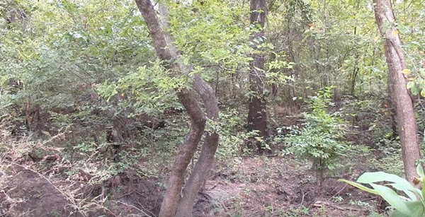 【迷彩服を捜せ！】迷彩服の実力をご覧あれ！迷彩服の男を捜せ！全15問！あなたは見つけられるかな？