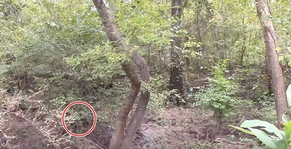 【迷彩服を捜せ！】迷彩服の実力をご覧あれ！迷彩服の男を捜せ！全15問！あなたは見つけられるかな？