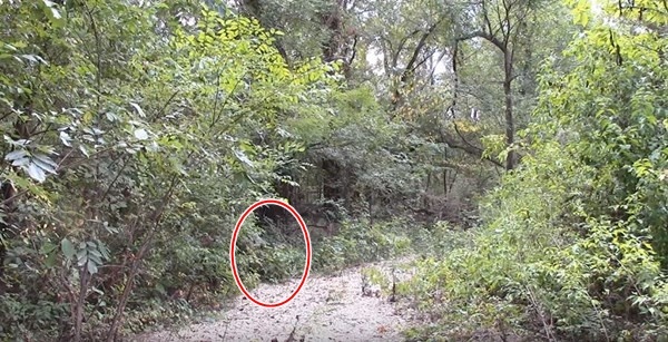 【迷彩服を捜せ！】迷彩服の実力をご覧あれ！迷彩服の男を捜せ！全15問！あなたは見つけられるかな？