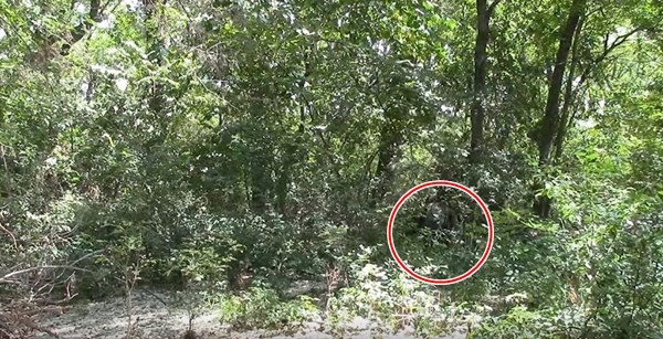 【迷彩服を捜せ!】迷彩服の実力をご覧あれ!迷彩服の男を捜せ!全15問!あなたは見つけられるかな?