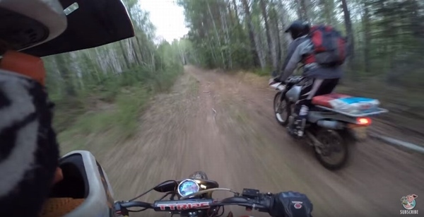 【危機一髪】これはヤバイ!バイクで山道を走っていたらクマが横切った決定的瞬間