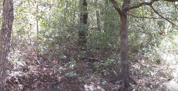 【迷彩服を捜せ!】迷彩服の実力をご覧あれ!迷彩服の男を捜せ!全15問!あなたは見つけられるかな?