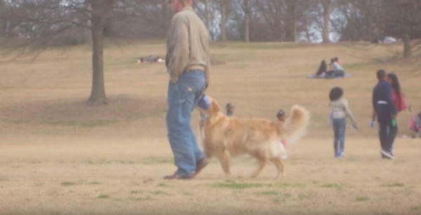 「いやだ～！帰りたくないよ～」公園で駄々をこねる犬が微笑ましい