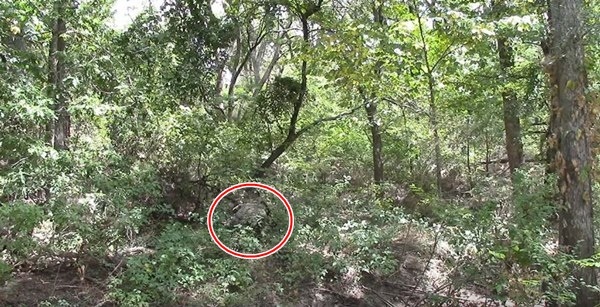 【迷彩服を捜せ!】迷彩服の実力をご覧あれ!迷彩服の男を捜せ!全15問!あなたは見つけられるかな?