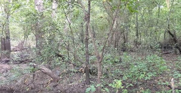 【迷彩服を捜せ！】迷彩服の実力をご覧あれ！迷彩服の男を捜せ！全15問！あなたは見つけられるかな？