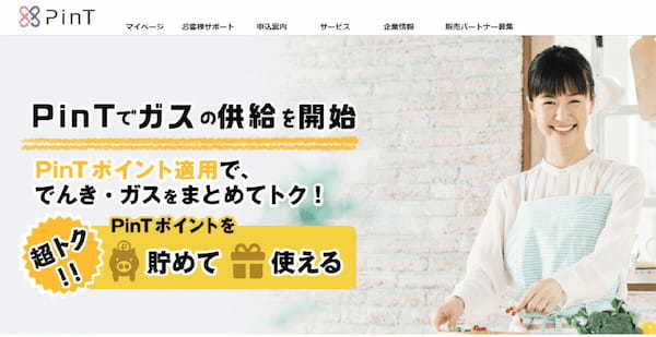 PinTでんきの電気料金は高すぎる？デメリットや東京電力との比較、料金一覧総まとめ