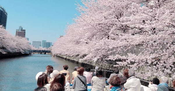 水上から大迫力の桜見物を｜桜のトンネルを楽しむ「お花見クルーズ」