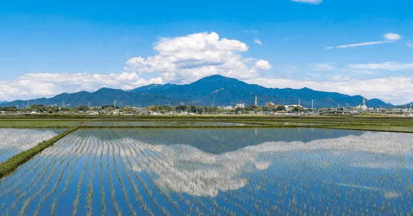 らーめん『AFURI』×小田原『鈴廣かまぼこ』、食材の二次利用で誕生した「あら炊きらーめん」をAFURI公式通販にて限定販売！