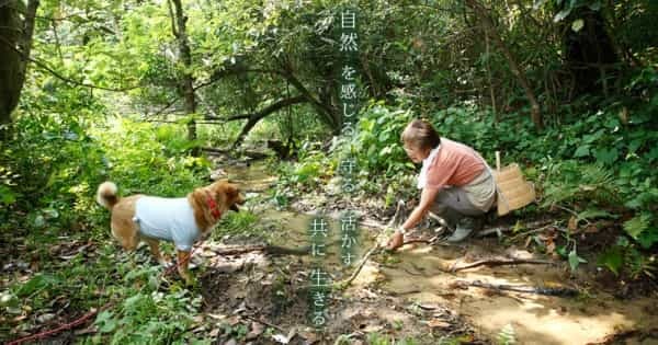 【関西版】ペット飼育者に人気のおでかけスポット一覧！大阪府・京都府・兵庫県・滋賀県・奈良県・和歌山県