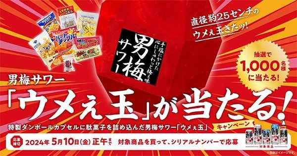 『男梅サワー「ウメぇ玉」プレゼントキャンペーン』実施！