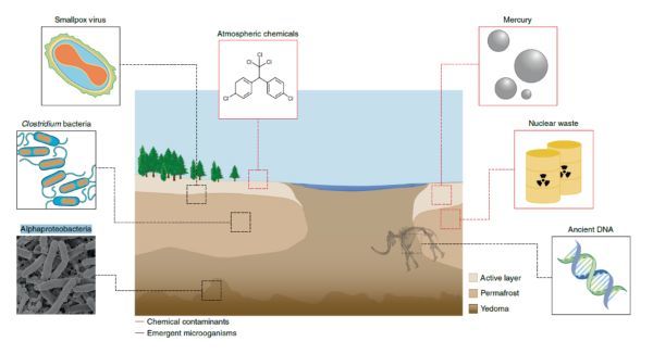 永久凍土の融解で100万年封印されてきた「未知のウイルス」が解き放たれる