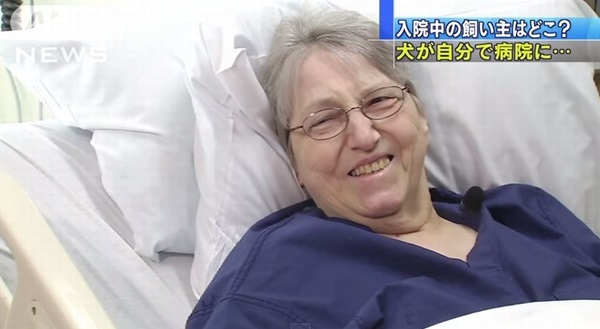 【忠犬シシー】飼い主の入院する病院を探し当て訪問した犬が話題に！！