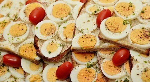 卵に含まれる鉄分はどのくらい？たっぷりの栄養素で体を内側から健康に！