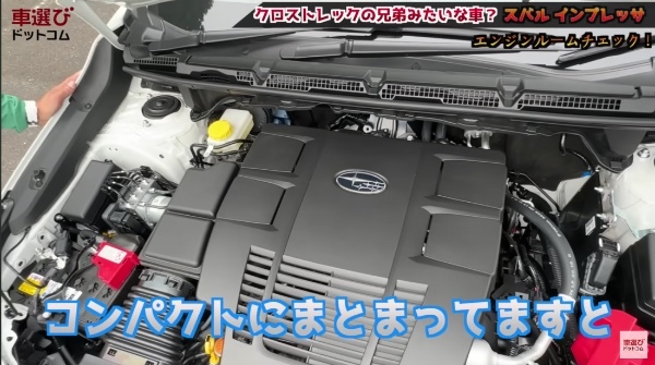 試乗中に大量の「サル」出現?!【 スバル 新型インプレッサ 】土屋圭市もびっくり！沢すみれ 工藤貴宏が徹底解説