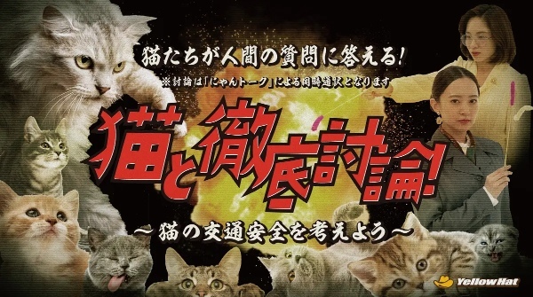 5年目「全国交通にゃん全運動」は猫に直接聞いてみた　なぜ交通事故に遭うの？