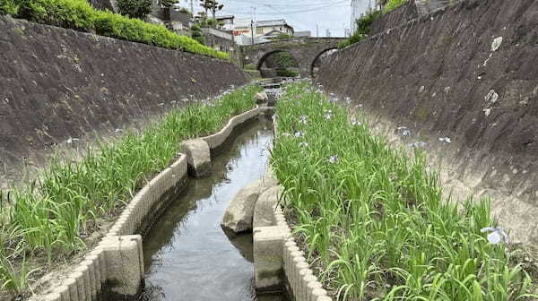 【熊本・玉名市】花しょうぶまつりと高瀬裏川界隈を散策して初夏を満喫してきたよ。