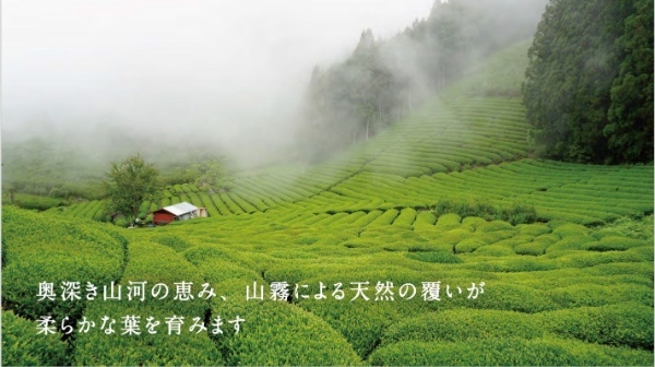 一〇八抹茶茶廊、4/15(土)に「東京ドームシティラクーア店」・4/27(木)に「南町田グランベリーパーク店」グランドオープン！新メニュー”抹茶モンブランソフト”も販売開始！