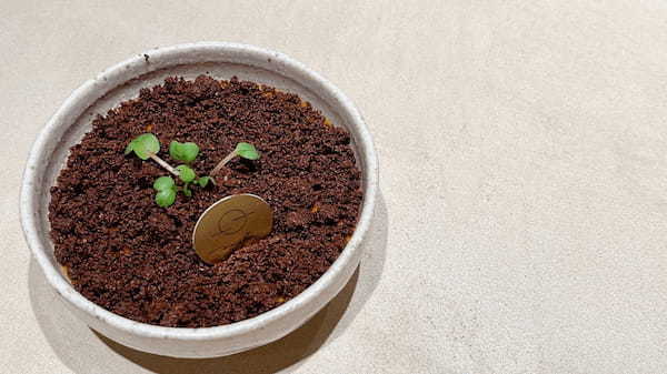 GWも神戸でお花見!?五感で味わう、野菜が主役の期間限定ランチがFARM TO TABLE「KANBE」に登場！１日限定10食