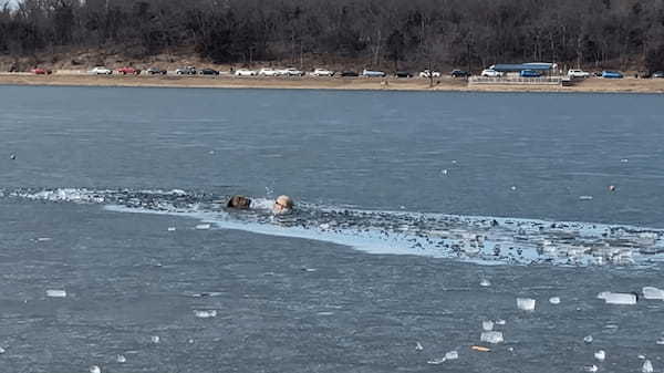 大変！犬が氷の張った湖の中に落ちちゃった！！この子を救うため男性が氷を割りながら湖の中を進んでいきます！！【アメリカ・動画】