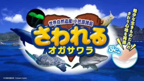 すみだ水族館で新エリア「小笠原」が追加、グッズ販売も