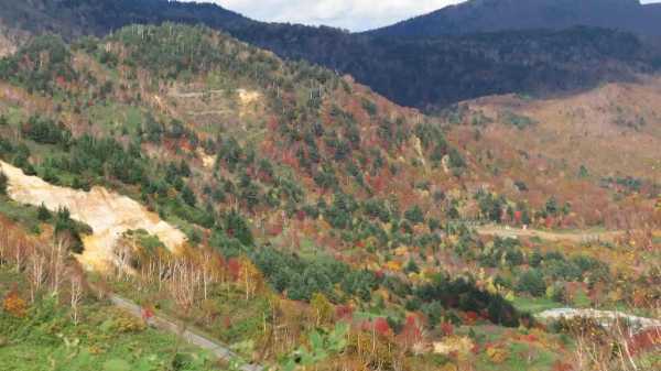 【連載】ドライブで楽しむおすすめの旅 ～福島の観光道路で秋の季節を満喫〜