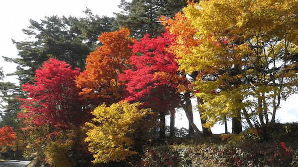 【連載】ドライブで楽しむおすすめの旅 ～栃木で紅葉の名所を巡って歩こう！～