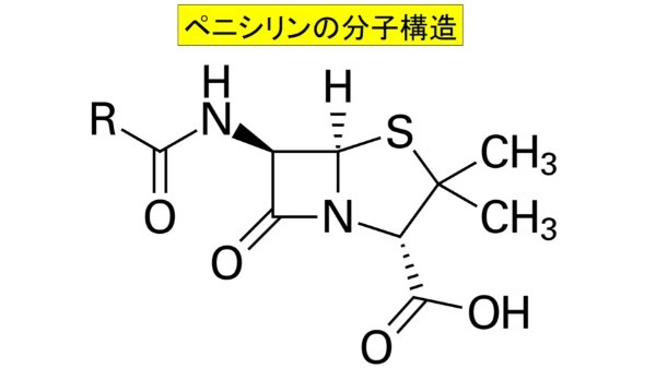 世界初の抗生物質「ペニシリン」の元になったアオカビのDNA配列がやっと解読される！発見当時から”遺伝子が変異していた”という驚きの結果
