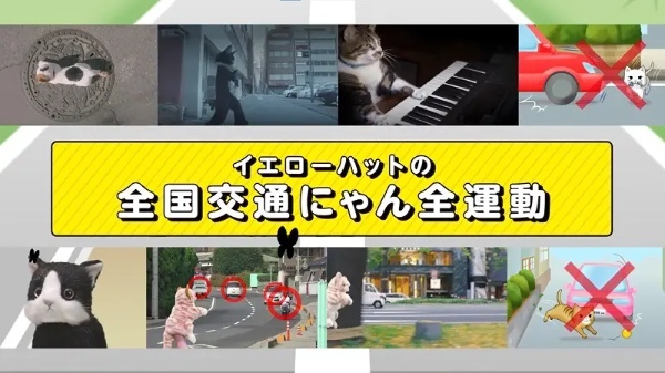 5年目「全国交通にゃん全運動」は猫に直接聞いてみた　なぜ交通事故に遭うの？