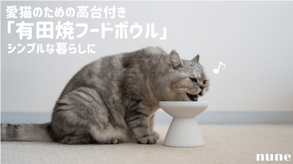 【ペット飼い主向け】クラウドファンディングの仕組み・注意点・種類や歴史を解説！犬猫プロジェクト一覧