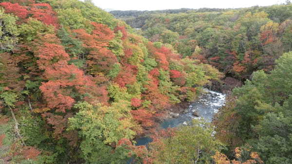 【連載】ドライブで楽しむおすすめの旅 ～紅葉・グルメ・温泉と秋の福島を堪能～