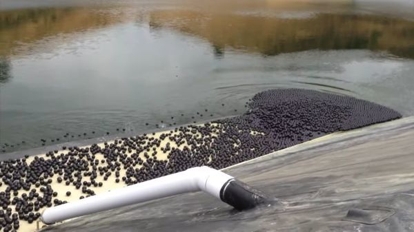 池にぎっしりと9600万個の黒ボールが浮かぶ科学的理由とは
