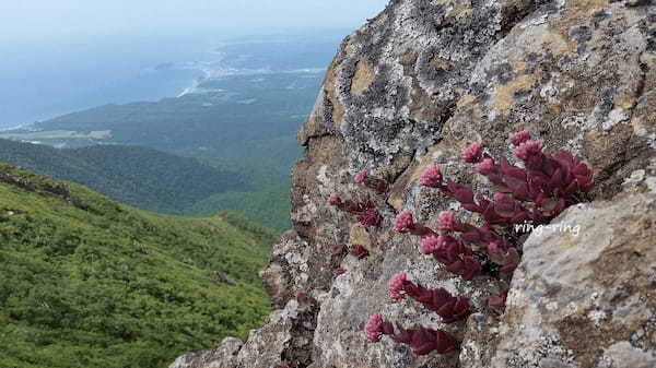 北海道で登山するならココ！おすすめの山ベスト15！初心者や家族連れにも人気なのは？