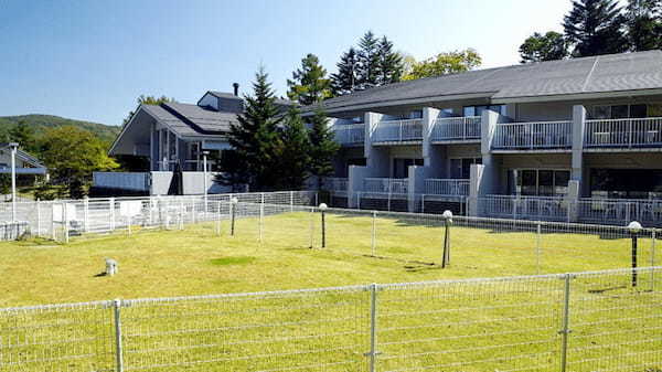 ペットと一緒に楽しもう!北陸・甲信越で人気のおでかけスポット一覧!山梨県・長野県・福井県・石川県・富山県・新潟県