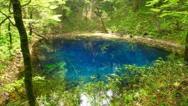 青森県と秋田県にまたがる世界遺産「白神山地」の十二湖散策コースをご紹介！