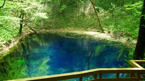 青森県と秋田県にまたがる世界遺産「白神山地」の十二湖散策コースをご紹介！