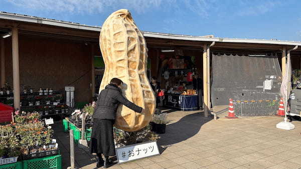 【スタッフ通信】スズキ　フロンクスでチバニアンまでドライブ