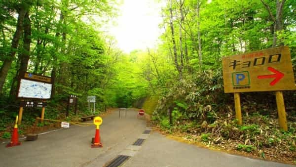 青森県と秋田県にまたがる世界遺産「白神山地」の十二湖散策コースをご紹介！