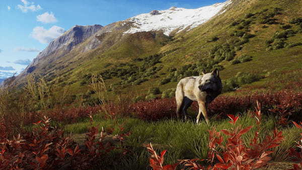 アラスカを舞台にリアルなハンティング体験 『Way of the Hunter　ウェイ オブ ザ ハンター』 新DLC『オーロラ ショアーズ』配信開始 アップデート版（Version 1.22）も配信