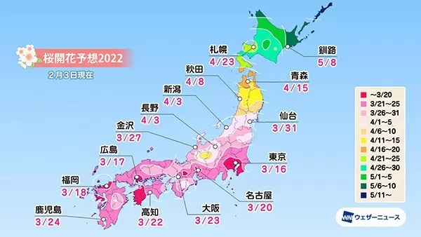 2022年の桜開花はいつ？　最速予想は“東京”