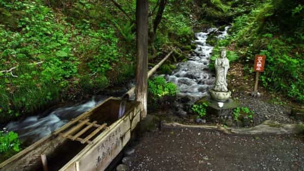 青森県と秋田県にまたがる世界遺産「白神山地」の十二湖散策コースをご紹介！