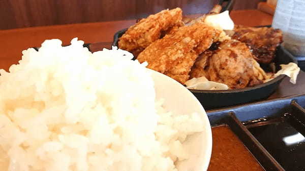 ご飯のおかず2大巨頭が最強タッグ結成！からやまから「しょうが焼きの2種盛り定食」発売