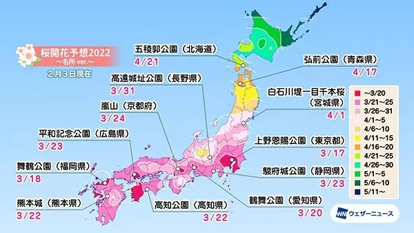 2022年の桜開花はいつ？　最速予想は“東京”