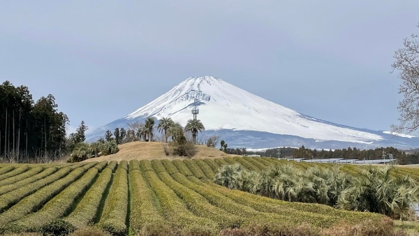 【熱海パールスターホテル】日本一のお茶処静岡県の抹茶を使用した抹茶スイーツの真骨頂!「ぐり茶の五十鈴園」とコラボレーションスイーツを5月1日(月)から販売