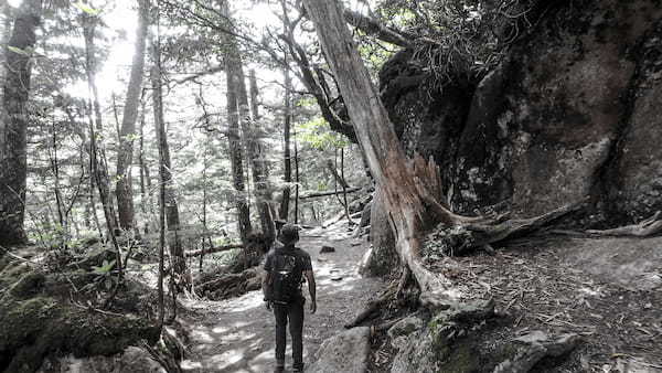 高尾山の登山ルートガイド！コースタイムや距離、登る際のポイントまで解説！