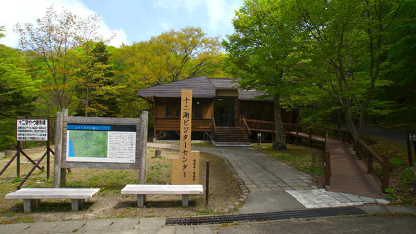 青森県と秋田県にまたがる世界遺産「白神山地」の十二湖散策コースをご紹介！