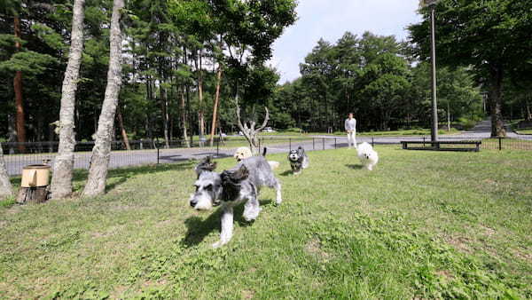 ペットと一緒に楽しもう!北陸・甲信越で人気のおでかけスポット一覧!山梨県・長野県・福井県・石川県・富山県・新潟県
