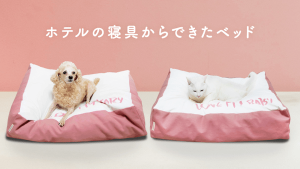 【ペット飼い主向け】クラウドファンディングの仕組み・注意点・種類や歴史を解説！犬猫プロジェクト一覧