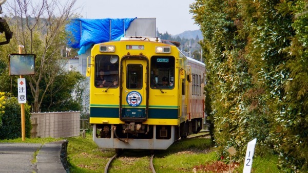 【連載】旅行好きと行く！菜の花の絨毯が広がるローカル線いすみ鉄道の旅